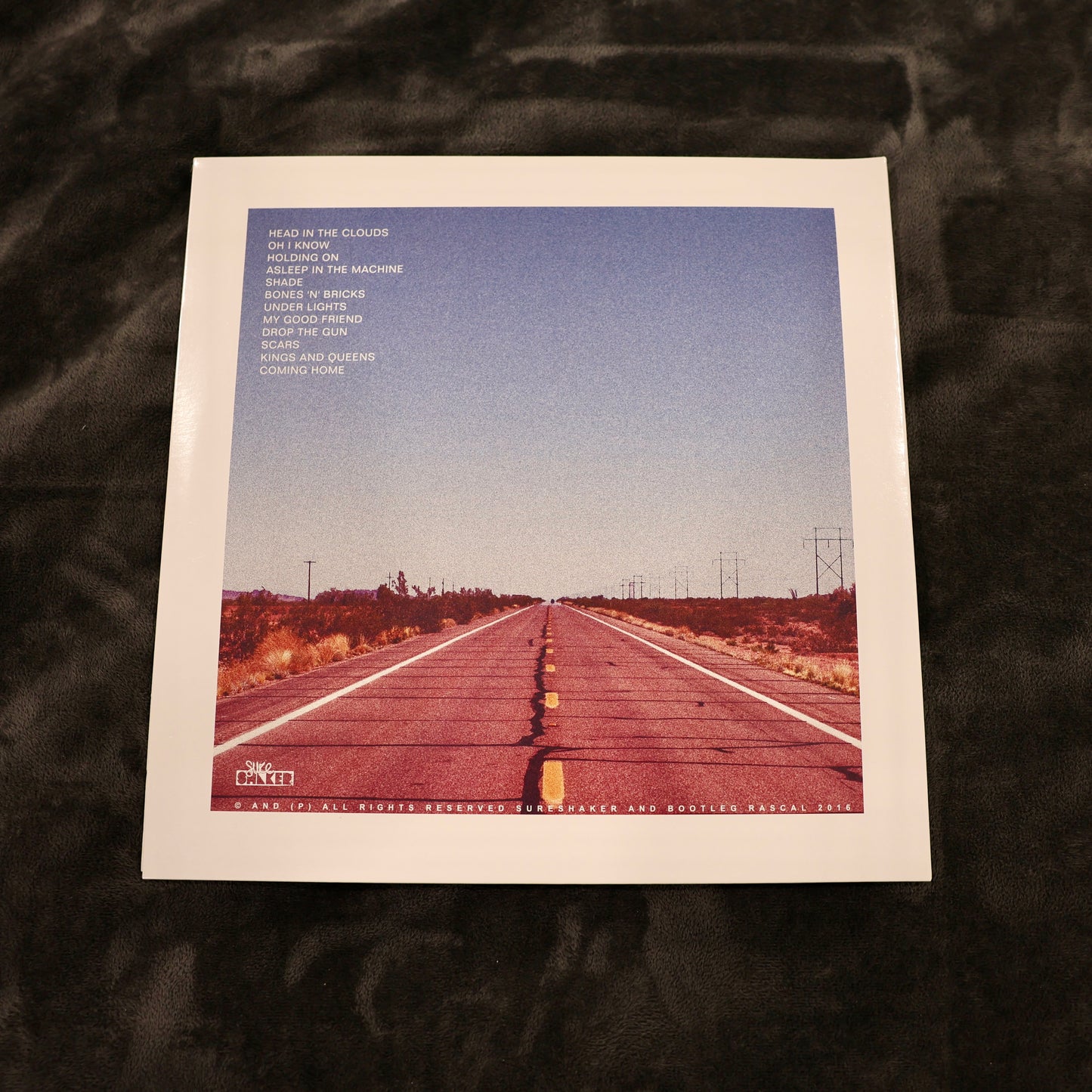 Asleep in the Machine - Vinyl